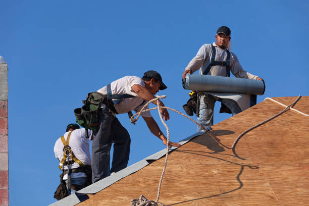 Best Local Roofing Companies  in Marlboro Meadows, MD