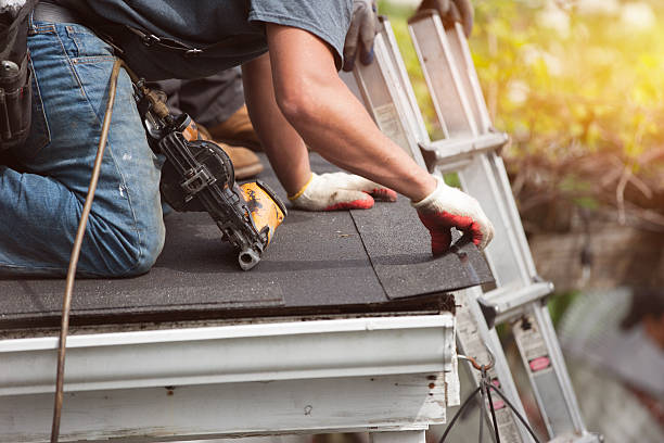 Best Roof Gutter Cleaning  in Marlboro Meadows, MD